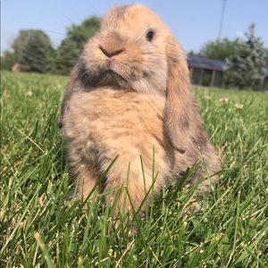 Meet your Posher, Tessa